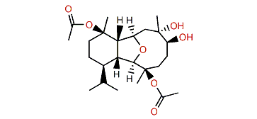 Klysimplexin G